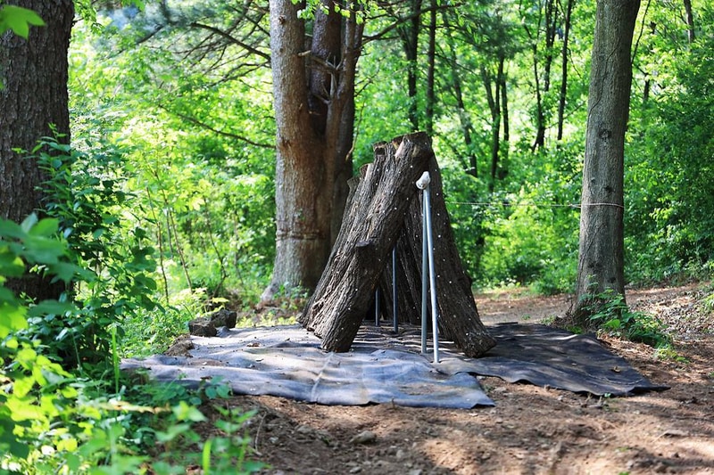 숲에서 놀자 시설 사진 5