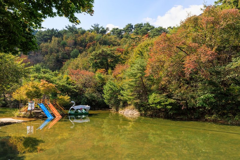 심천치유자연휴양림야영장 시설 사진 3