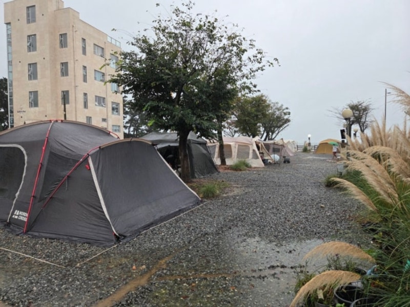 태안 꿈꾸는바다캠핑장 파쇄석03-5 후기