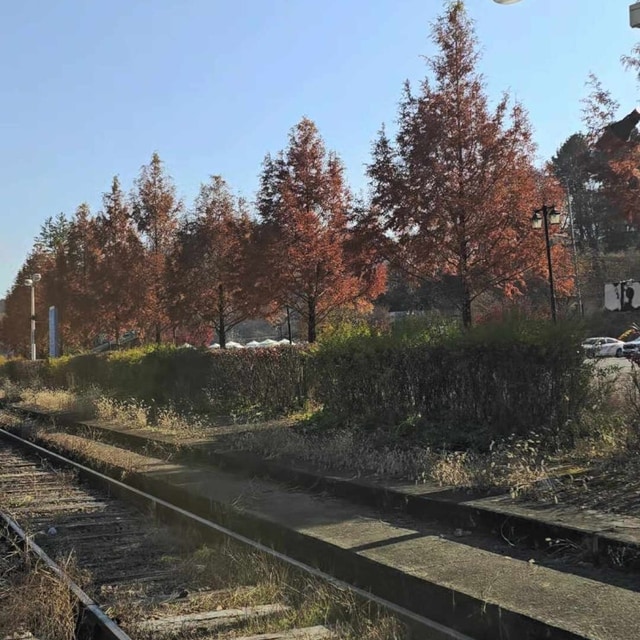 가평카라반캠핑농원 대표 사진