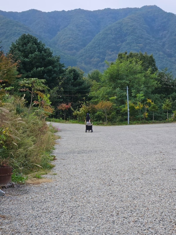 홍천 산으로 캠핑장, 춘천 별빛캠핑장