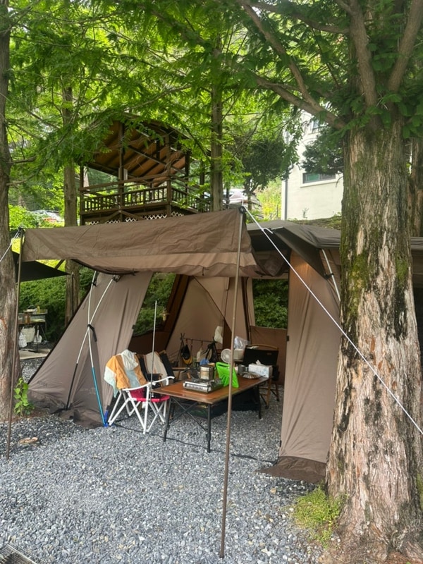 캠핑 영월에서의 여름캠핑 더좋은날n캠핑 펜션