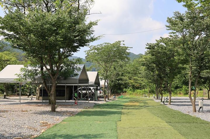 원주 우리 캠핑장 대표 사진