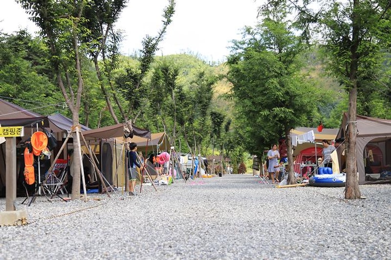 원주산노리 캠핑장 대표 사진