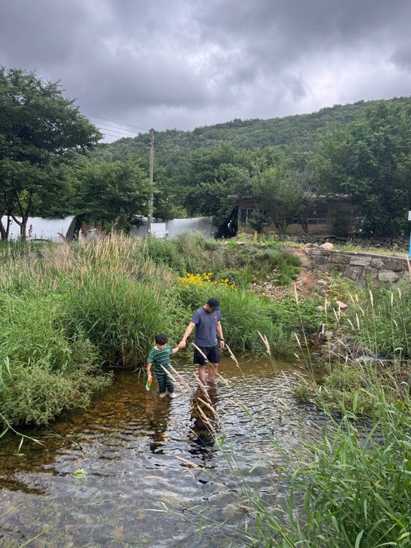 땡쓰네 두번째 캠핑 경주산내면 숲속[캠핑팜]...