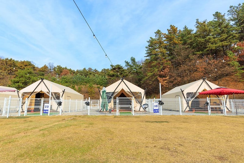 멍글멍글 펫글램핑 시설 사진 15