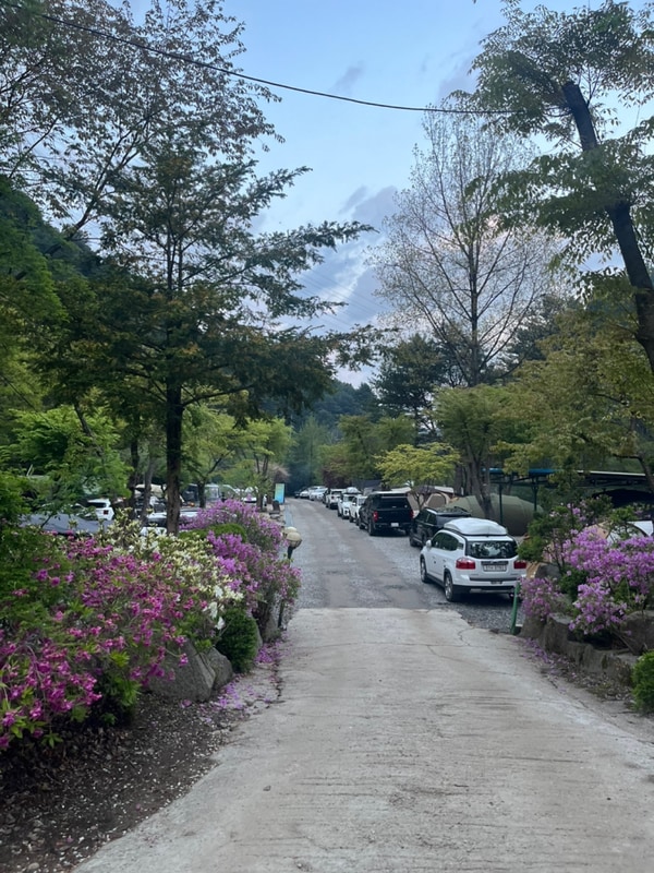 부처님 오신 날 황금연휴 포천 포시즌스오토캠핑장에서 캠핑