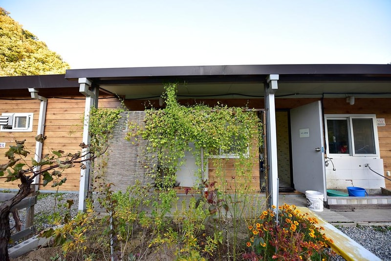 가평 물골숲 계곡 캠핑장 시설 사진 16