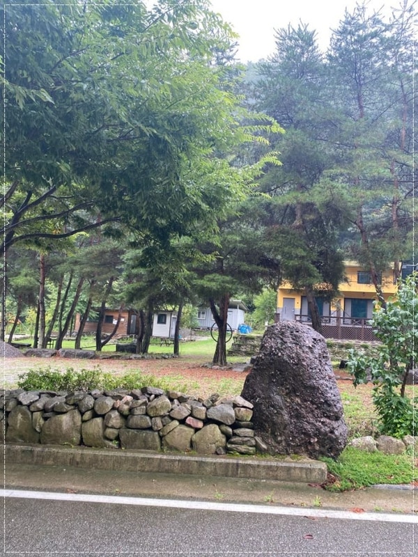 봉화캠핑장 별빛뜰애 자연 속 첫 순간이 참 인상 깊었어요