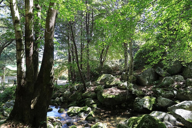 광덕그린농원 야영장 시설 사진 8