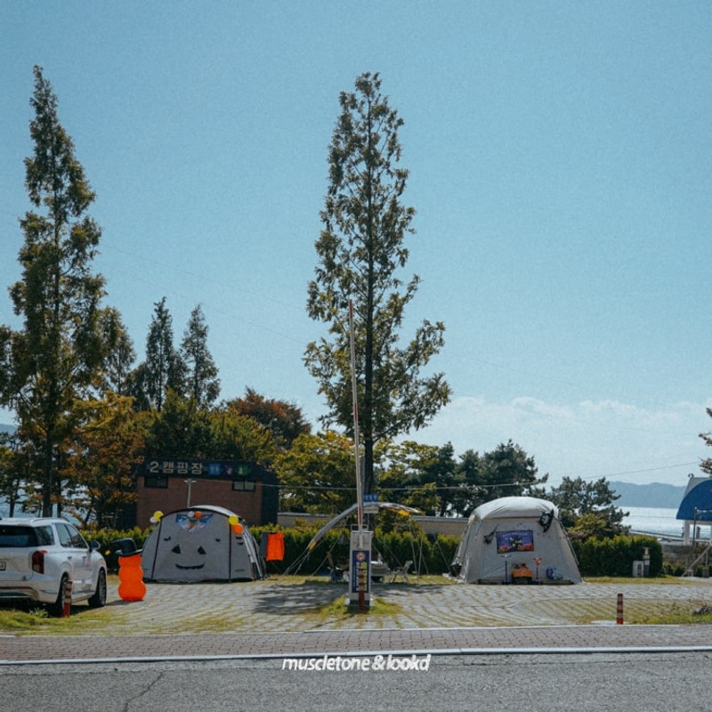 고성 상족암오토캠핑장 예약방법 편의시설 단풍캠 후기