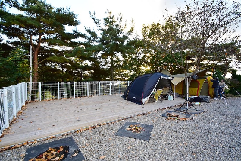 아잘리아 그린 시설 사진 15