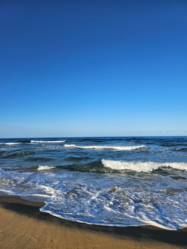 양양 북분솔밭캠핑장