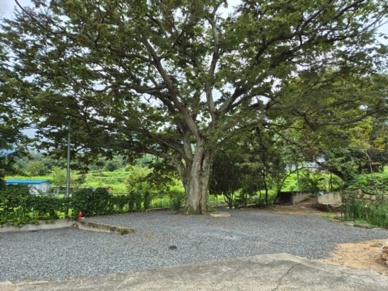 250905~07 창녕 디지털곤충학습관캠프