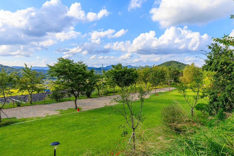 왕산골 관광농원 시설 사진 13