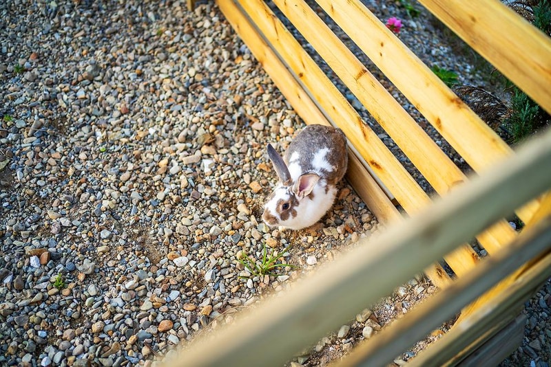 소꿉놀이 글램핑&캠프닉 시설 사진 6