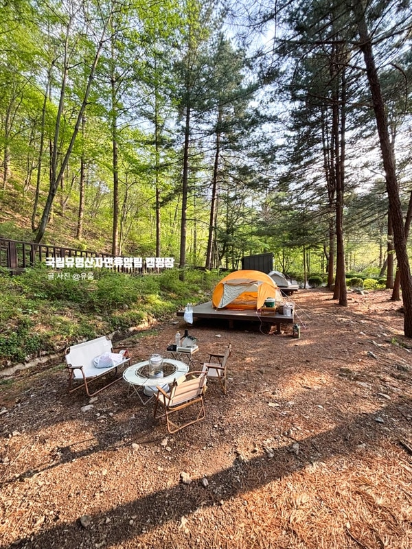 가평 국립유명산자연휴양림 캠핑장 1야영장 104사이트