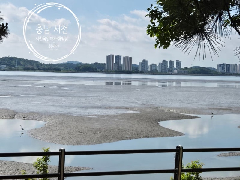 #1.서천국민여가캠핑장(A5)_첫 만남은 너무 어려워