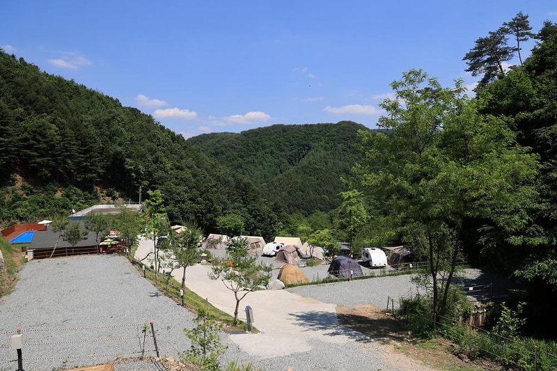 비발디캠핑파크 미루나무점 시설 사진 20