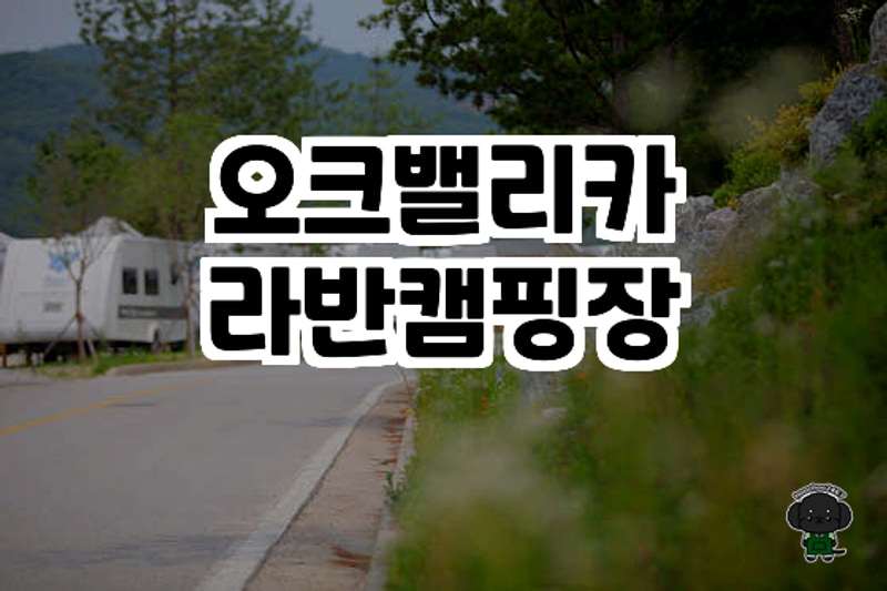 강원도 원주 오크밸리카라반캠핑장 체험기 ✨