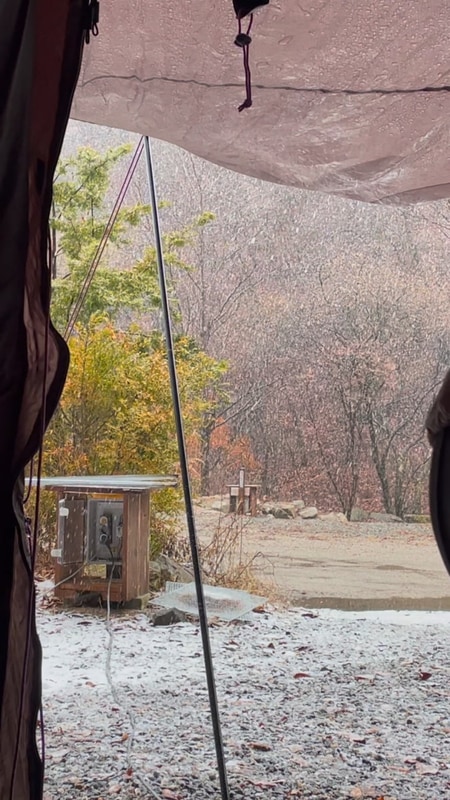 경기도 포천 반려견 동반 가능한 캠핑장 캠핑라운지