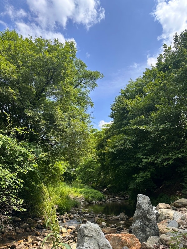 계곡 앞 캠핑장,홍천서석캠핑장 솔직후기