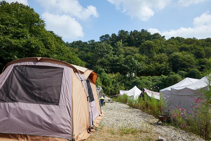 따봉캠핑장 시설 사진 14