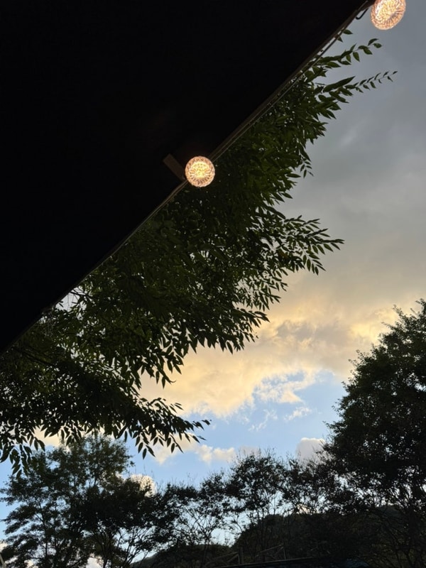 순천 주암오토캠핑장 A24번 사이트｜가성비 좋은 애견동반...