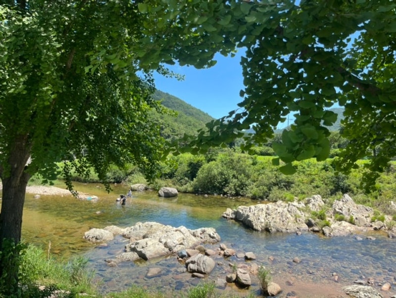 한여름의 폭염캠핑(문경 해바라기 캠핑장)