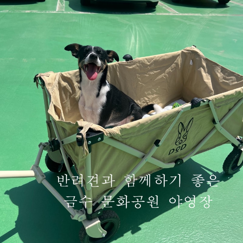 [성주/ 금수 문화공원야영장] 반려견과 함께하는 2번째 방문기