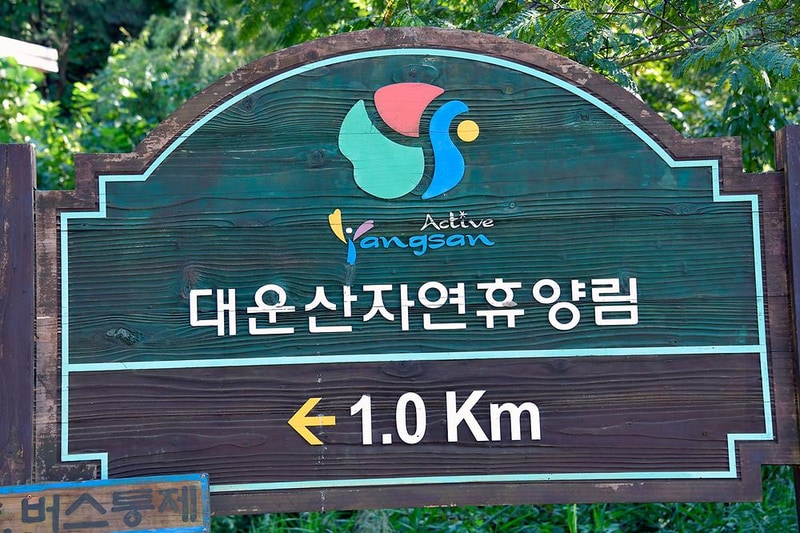 대운산자연휴양림 야영장 시설 사진 8