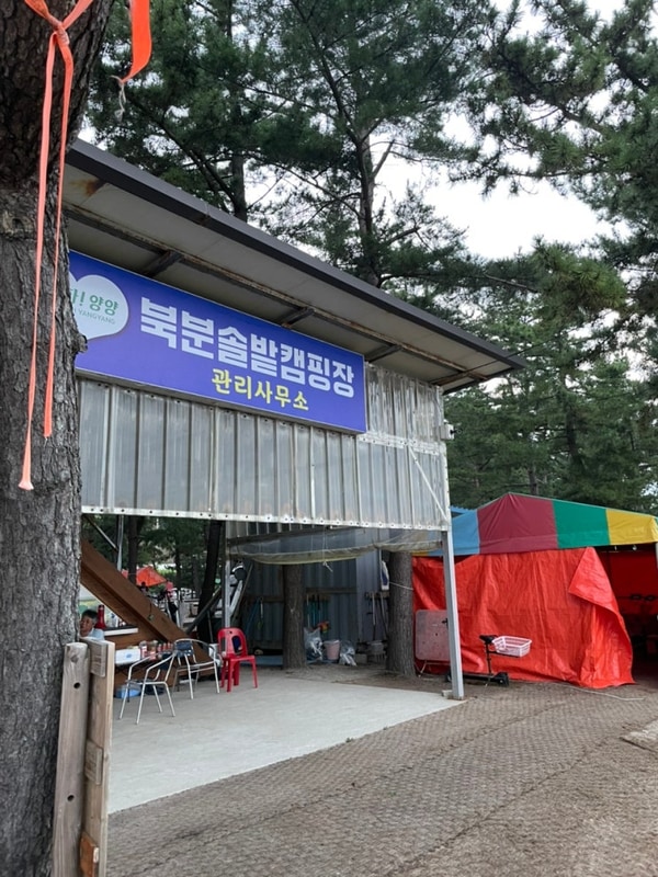 [서른 두 번째 캠핑] 양양 북분솔밭캠핑장 - 바다캠핑, 양양캠핑...