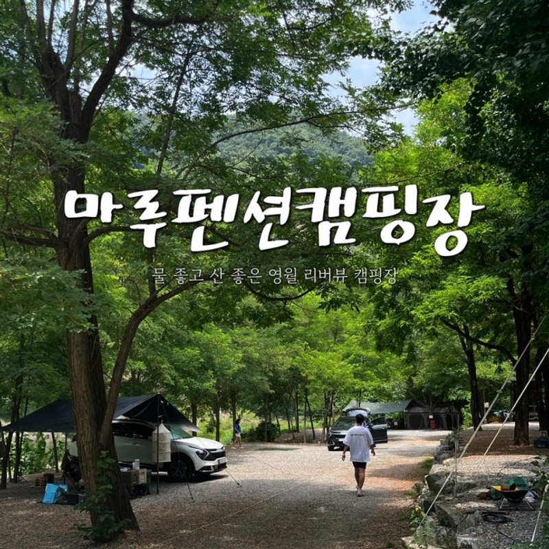 영월 강이 흐르는 리버뷰 마루펜션캠핑장 물놀이하고...