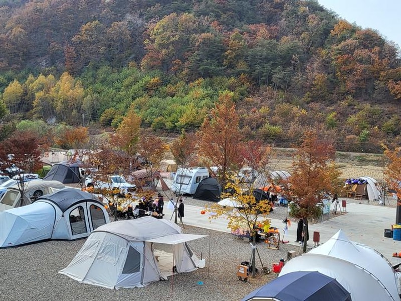 상주 가족캠핑장 대표 사진
