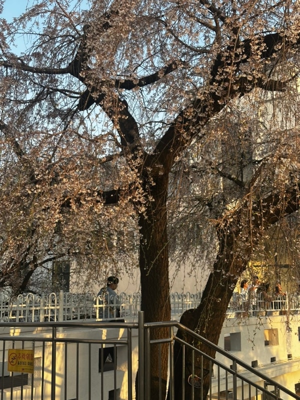 4월의 이모저모 ♀️한국출장, 가평 노마드글램핑, 톡톡...