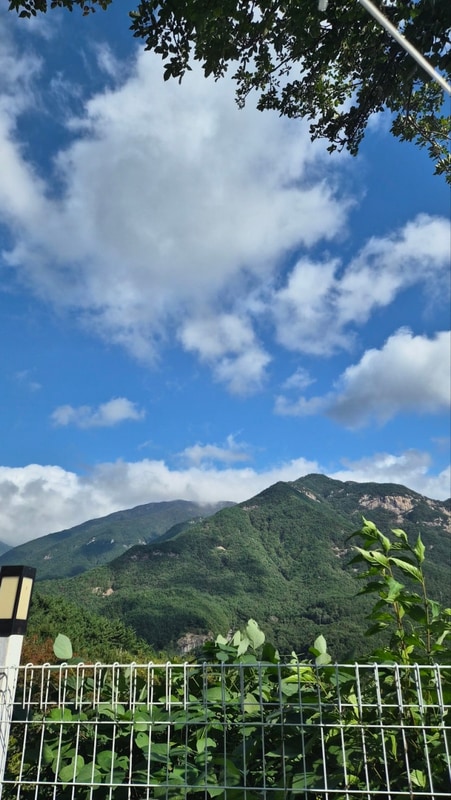 [캠핑] 영남알프스 뷰 맛집 가을 캠핑 : 밀양캠프밸리관광농원