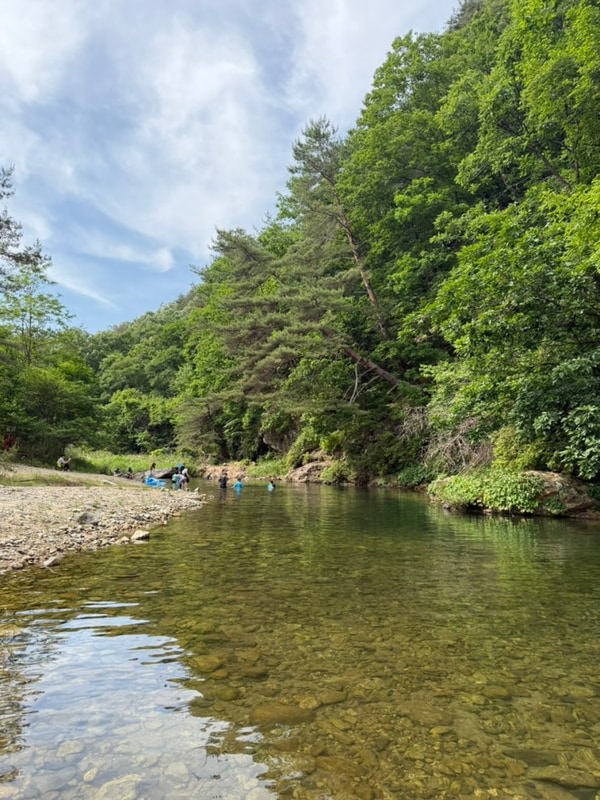 25.06.06~06.09 강원도 영월 계곡캠핑장 첫물내기 캠핑장...