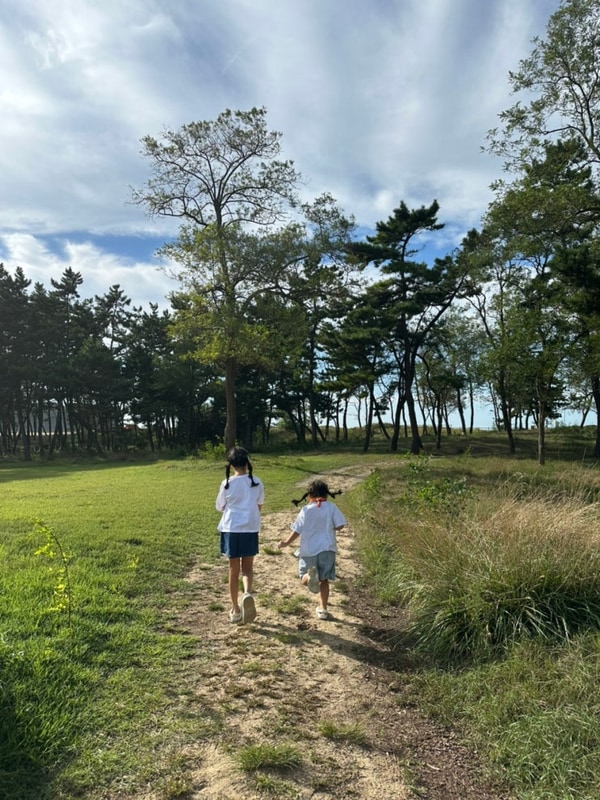 [너구리네 캠핑] 태안 2박 3일 캠핑 - 캠프해놀, 바닷가 옆 숲속...