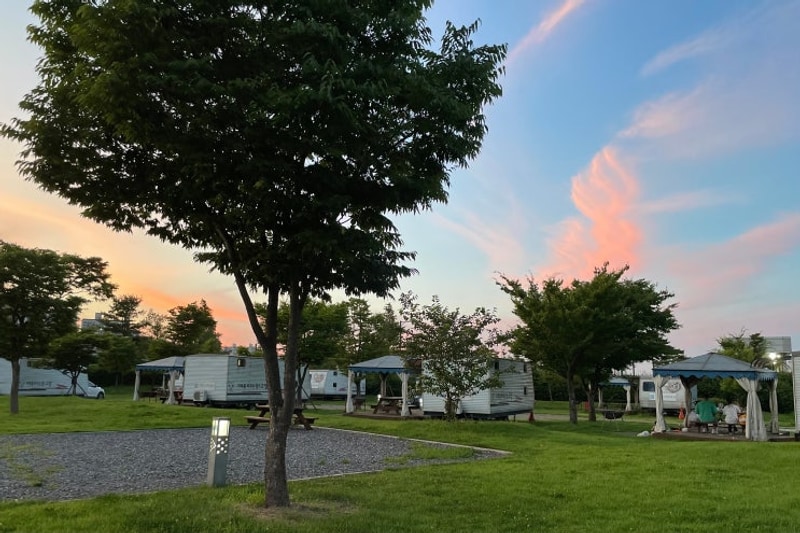 36도 폭염 속 여름 캠핑, 벌레 없는 고양 킨텍스캠핑장...