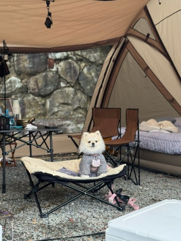 경북캠핑장::경북 오토캠핑장 고령 힐링오름캠핑장 B5...