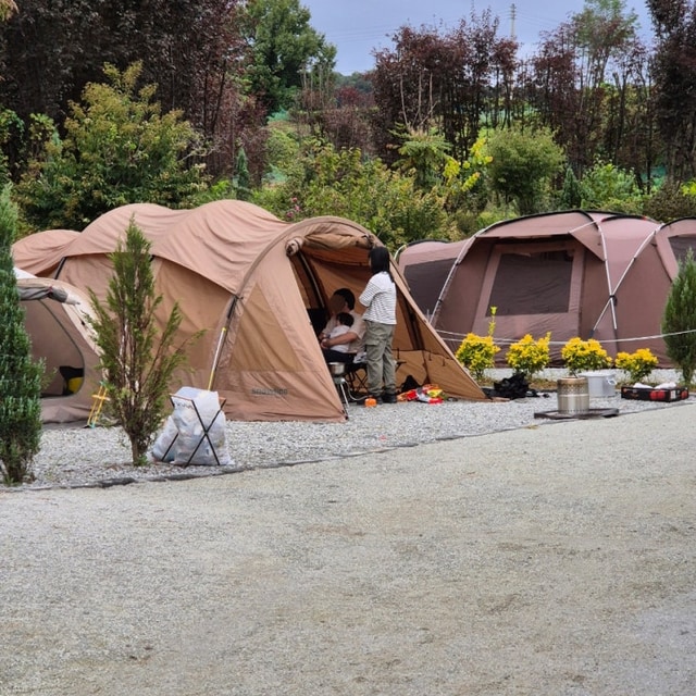 비원 바베큐&캠핑 대표 사진