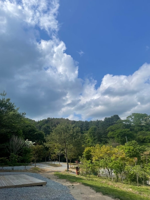 [두번째 캠핑] 240511-240512 홍천 숲에서놀자 캠핑장