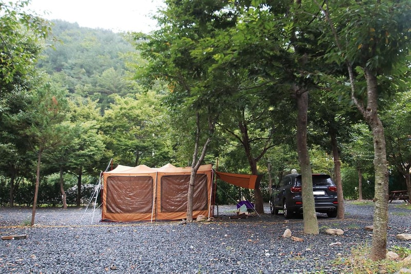 배너미오토캠핑장 시설 사진 6