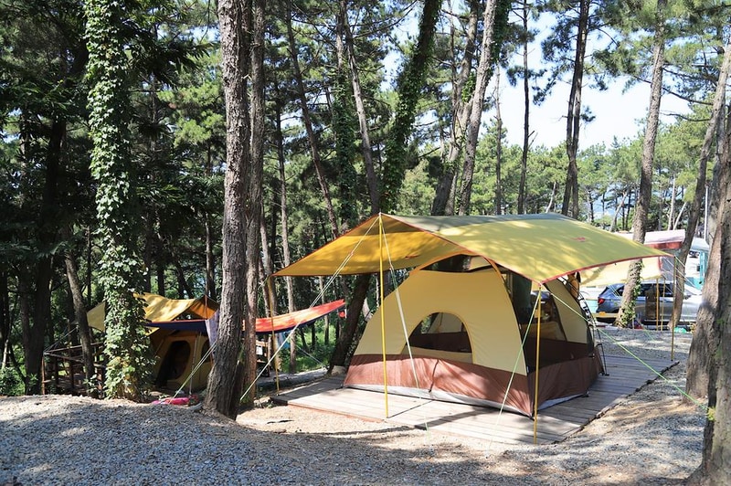 트리캠핑장 시설 사진 1