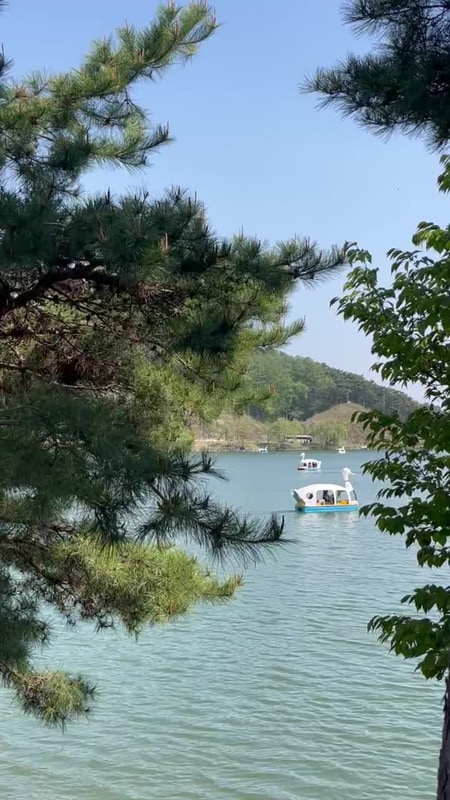 [25.04.25-04.27] 제천 시골학교 캠핑장 & 의림지 & 배론성지...