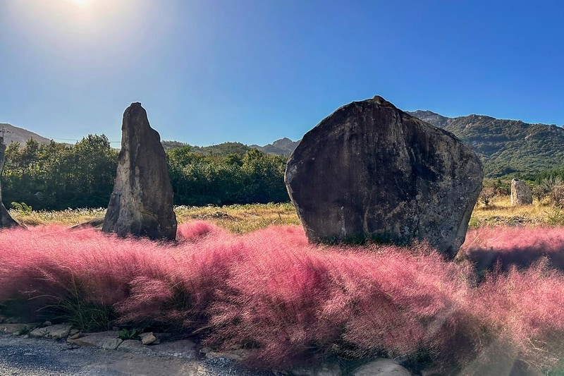 굿모닝오소재글램핑 시설 사진 1