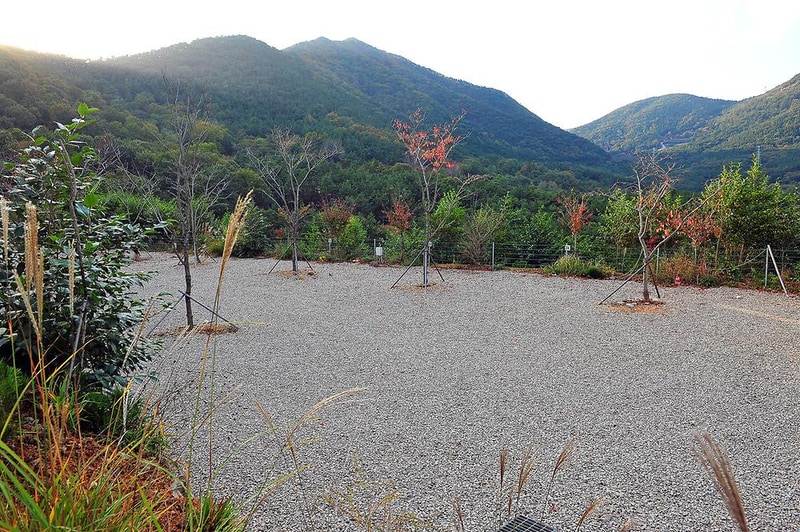 충효테마관광농원야영장 시설 사진 6