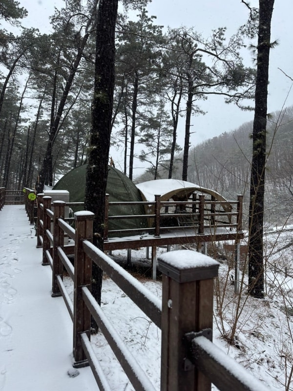 화성 동탄 아이랑캠핑, “무봉산자연휴양림” 야영데크에서...