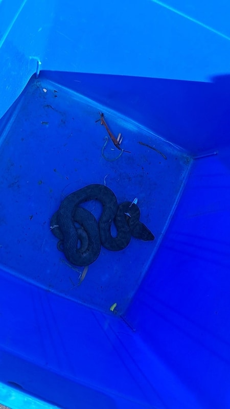 [충북/청주] 옥화자연휴양림 캠핑하우스 숙박 솔직 후기 & 예약 팁