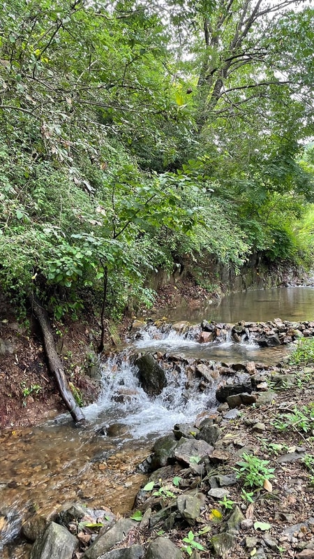 반딧불 캠핑장 시설 사진 10